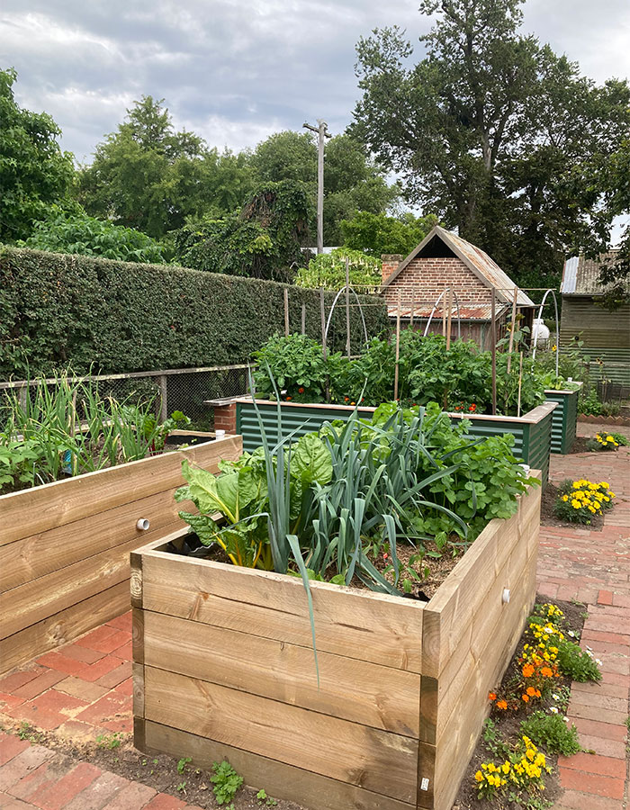 community-garden-1