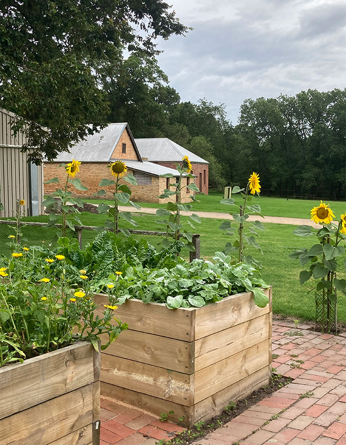 community-garden-2